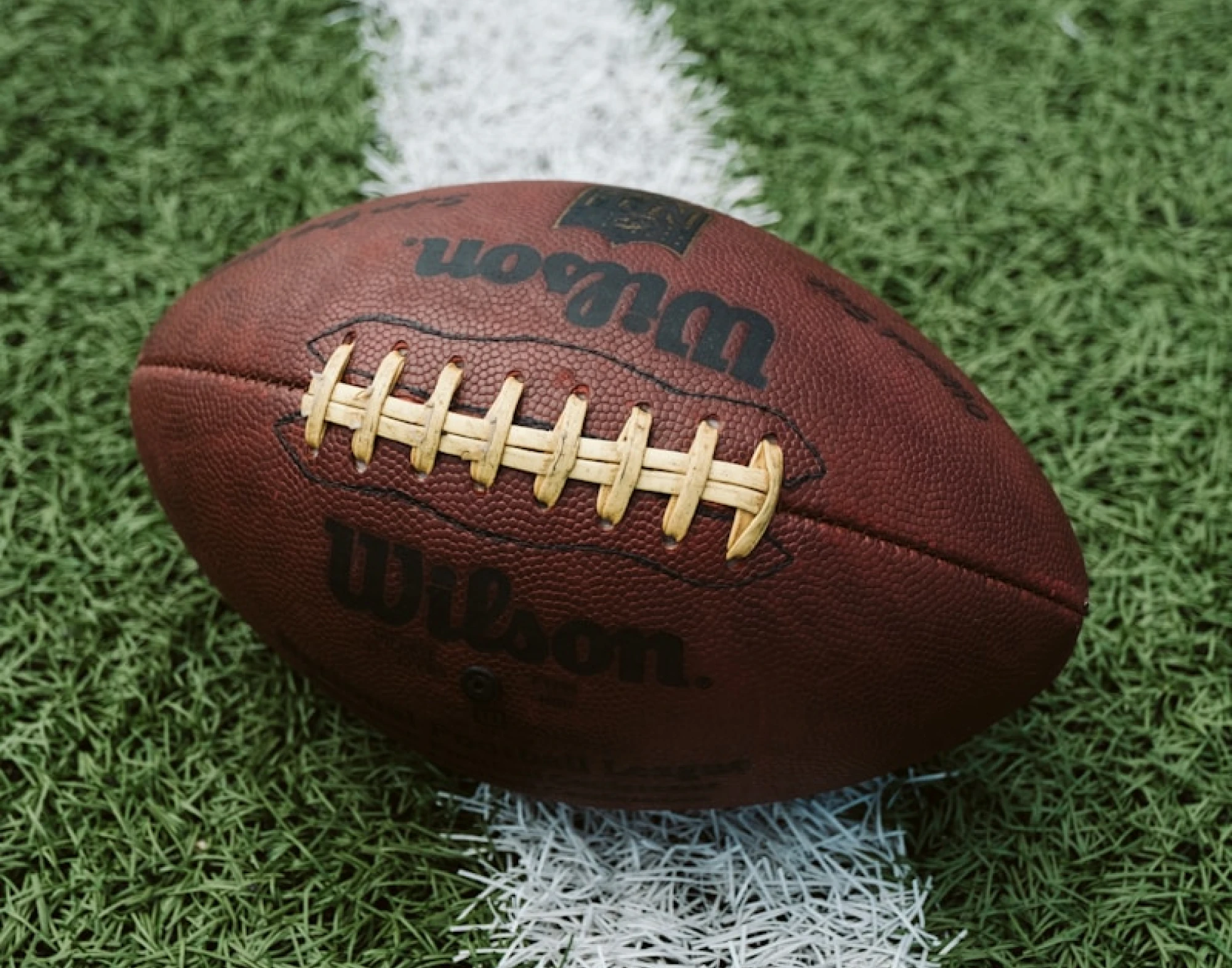 JMU football on the field ready for kickoff at a Dukes game